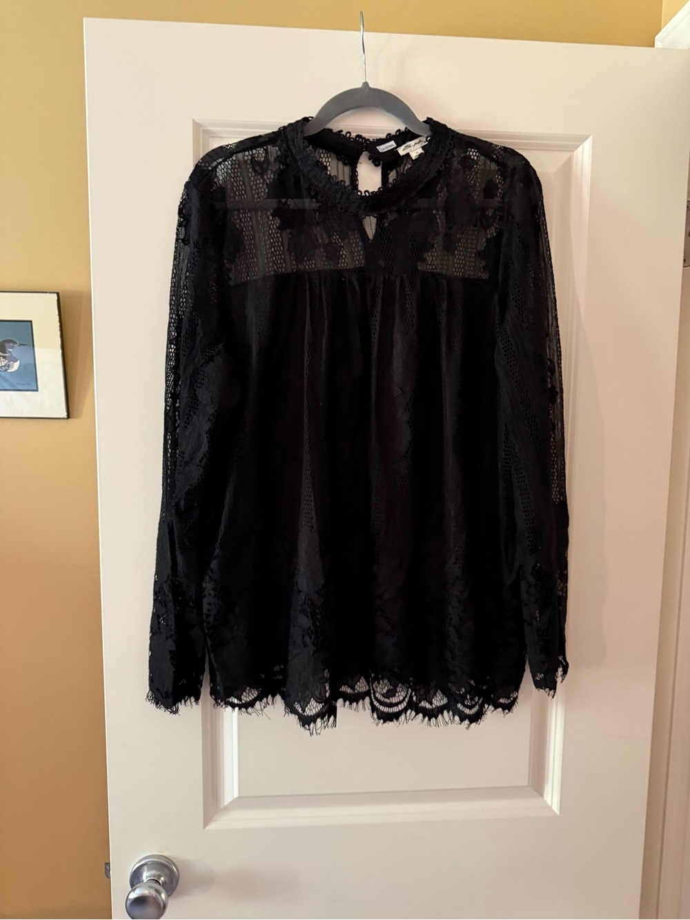 Black Lace Long-Sleeve Blouse